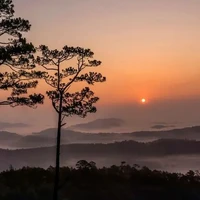 Đa nhân vật 