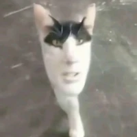Hàng xóm