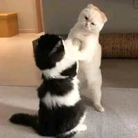 Nhỏ Tg