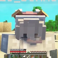 𝑫𝒐𝒏