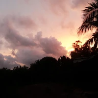 con t/g chỉ biết báo