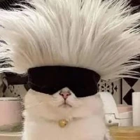 Hệ thống đầu xù