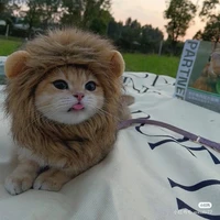 Tg thiếu đủ thứ