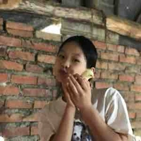 bao linh