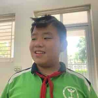 nam phong