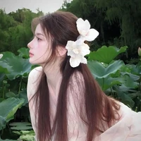 Vũ Kỳ Lam Anh