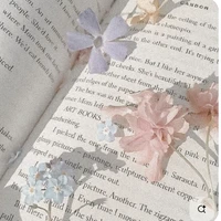 Tô Tĩnh Anh (Tác Giả)