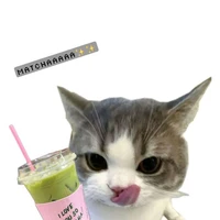 tác giả