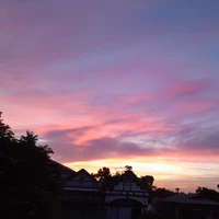 tgia nek