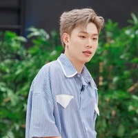 Trần Đăng Dương_Domic