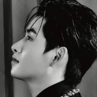 Hùng Huỳnh⊹Gemmini