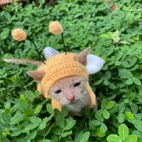 TG_cat bee