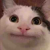 Sai đẹp triêu t/g