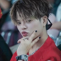 Nguyễn quang anh|rhyder