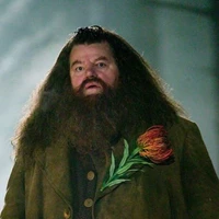 Hagrid