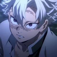 Shinazugawa Sanemi