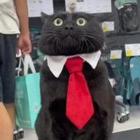 Chiều cao của lyhan ><