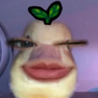 Nhúm