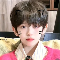 Trần Tuấn Minh ( cậu)