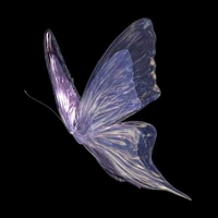 Lily (Tinh linh bướm)