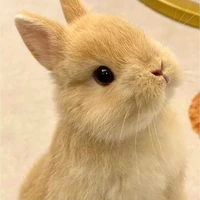 Hằng (dạng thỏ)