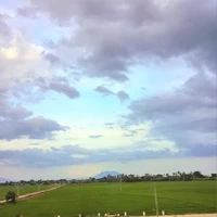Nguyễn Thanh Pháp - Kiều nữ