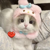 ୧𝑁ℎ𝑜́𝑚 phản bội