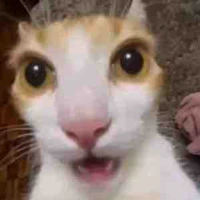 All