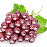 kay,chị họ của t