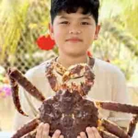 Vinh