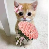 Chủ tus