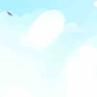 NVP