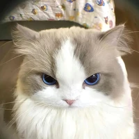 🎀Julyy_.thỏ.🐰