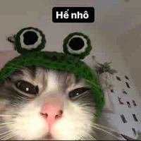 Nhỏ t/g trầm tính