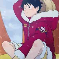 M•D•Luffy