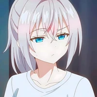 Y/N