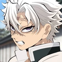 Shinazugawa Sanemi