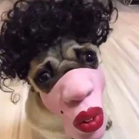 Lê Văn Hãm