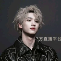 Nghiêm Hạo Tường