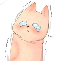 Hệ thống 419 - Silm