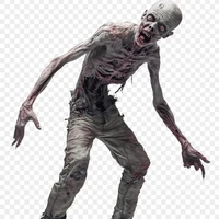 ĐNV zombie nam