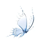 Hồ Điệp 1604 (hệ thống)