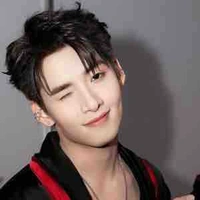 Huỳnh Hoàng Hùng(Gemini Hùng Huỳnh)