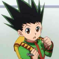 Gon Frecess