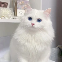 Hệ thống của Ruby (001)