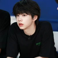 Trần Dịch Hằng-Hắn