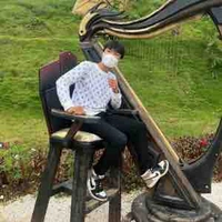Phạm đình hoà 