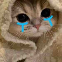 Tác giả hay ngủ💤