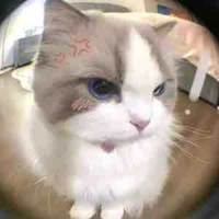 Hệ thống mồn lèo