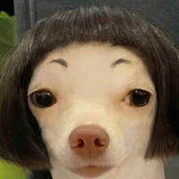 con chó